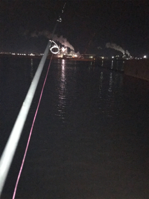 癒しのガッシーとタケノコ(^^)