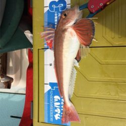 マイボートでタイラバ釣行