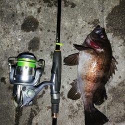 ライズ撃ち3連発