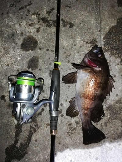 ライズ撃ち3連発