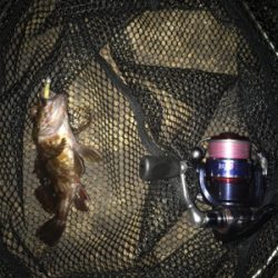 サイズUPならず(＞＜)