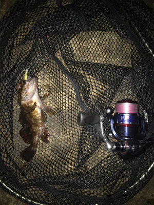 サイズUPならず(＞＜)