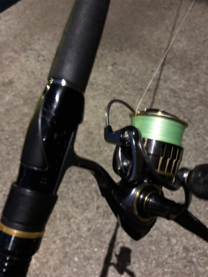 シーバスやっと釣れた