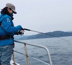 つりぴぃぽぉ釣果