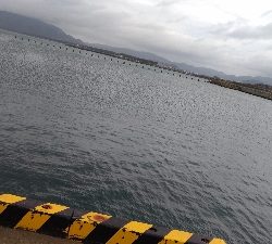 3/21釣果　チヌアジキビレガシラカタクチ五目釣り達成