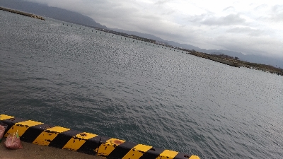 3/21釣果　チヌアジキビレガシラカタクチ五目釣り達成