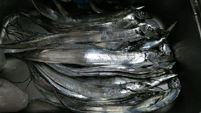 初のオフショア