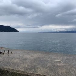 春告魚と書いてメバル