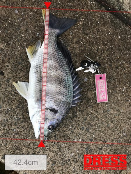 新元号発表前日にナイスフィッシュ