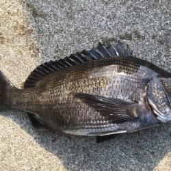 暖かくなってきた