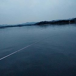 アオリイカ1杯確保です!!