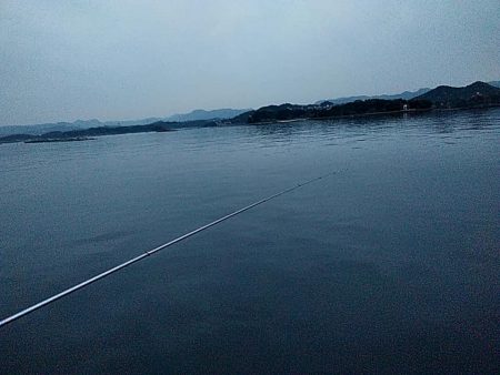 アオリイカ1杯確保です!!