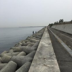 メバルくんたち