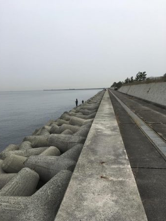 メバルくんたち