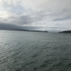 エサなしサビキでも^ ^