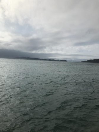 エサなしサビキでも^ ^