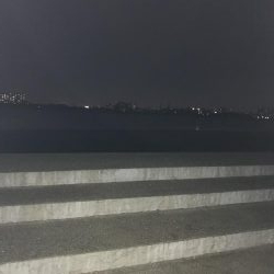 甲子園浜でキビレ釣り