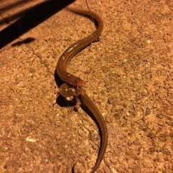 夜景をみながら