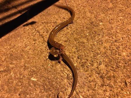 夜景をみながら