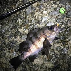 雨上がりまずまず