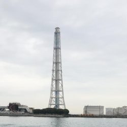 サバのナブラすごい!