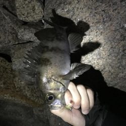 ちびっ子たくさん