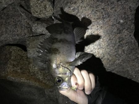 ちびっ子たくさん