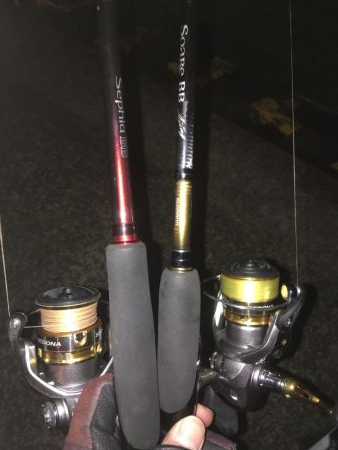 アジングでタチング