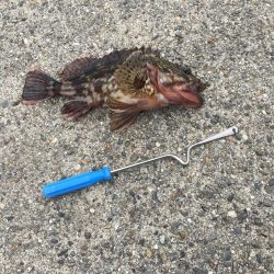 久しぶりの投稿です。