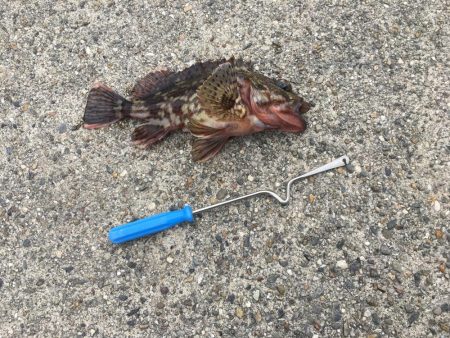 久しぶりの投稿です。