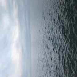 ジグサビキでメバル