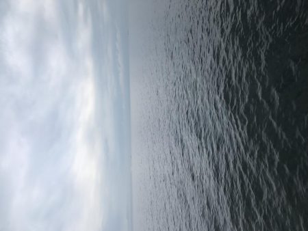 ジグサビキでメバル