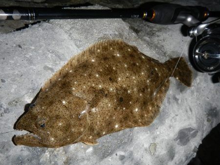 良い引きでした