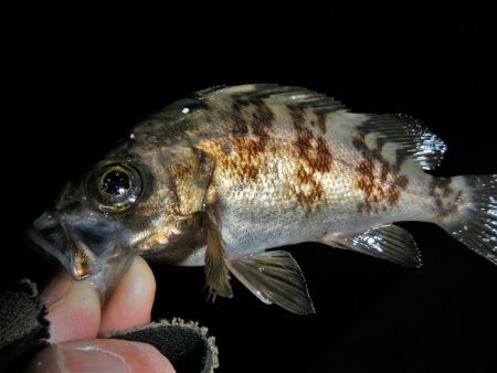 爆風、そして雨