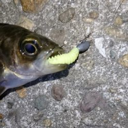 今夜は厳しい戦い！！