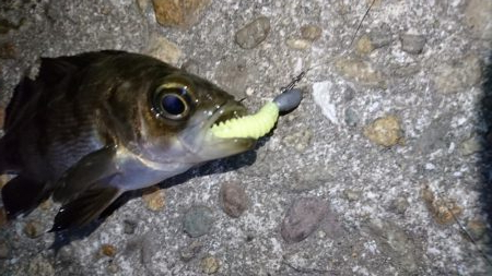 今夜は厳しい戦い！！