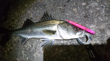 ダメもとでバチ抜け