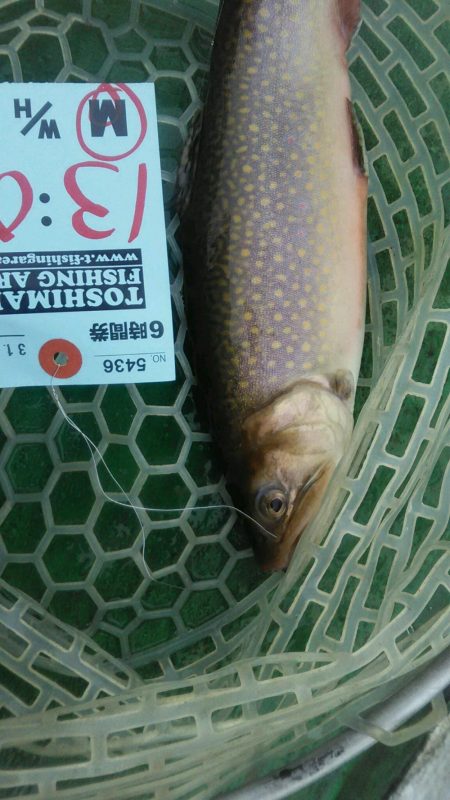 としまえんフィッシングエリア トラウトコレクション