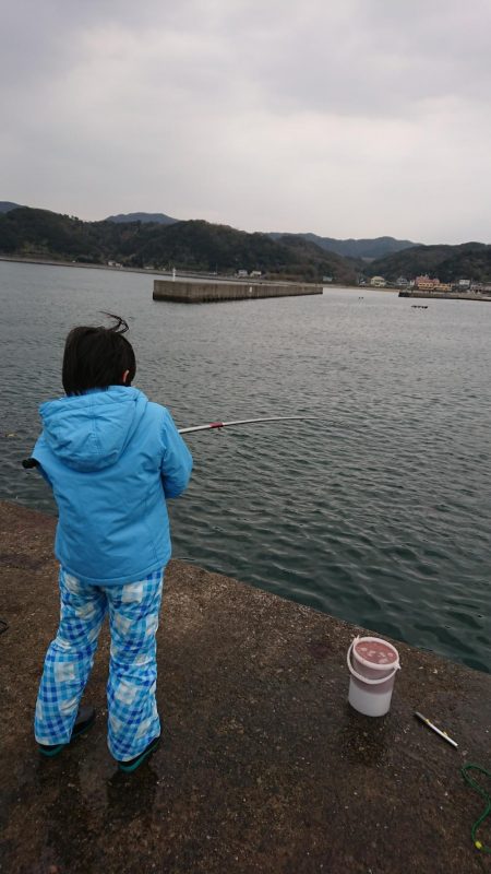 子どもとサビキ釣り