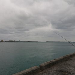 仕事で沖縄へ。