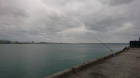 仕事で沖縄へ。