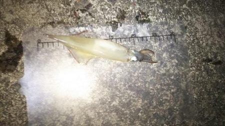 今日は渋かった・・・