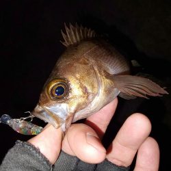 なかなか乗らない