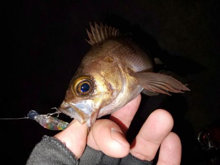 なかなか乗らない