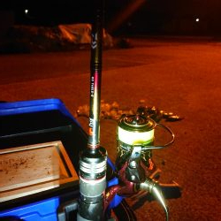 レッツメバリング