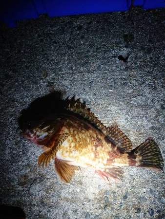 レッツガシリング