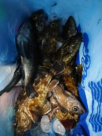 レッツメバリング