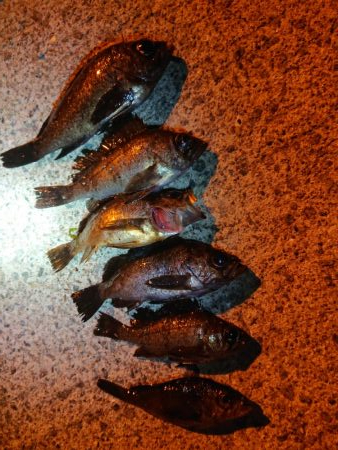 レッツメバリング