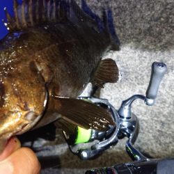 レッツメバリング