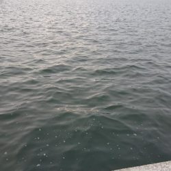 雨の前の短時間朝練！